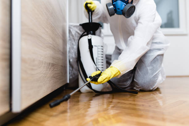 Best Bed Bug Extermination  in Burleson, TX
