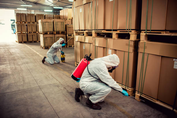 Best Local Pest Control Services  in Burleson, TX