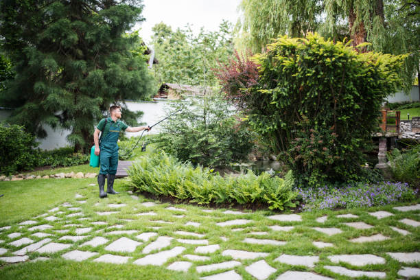 Best Best Pest Control Companies  in Burleson, TX
