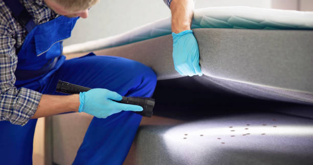 Best Pest Prevention Services  in Burleson, TX