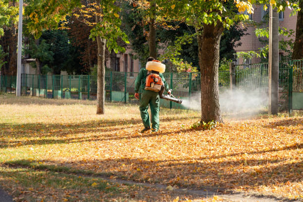 Best Ant Control Services  in Burleson, TX