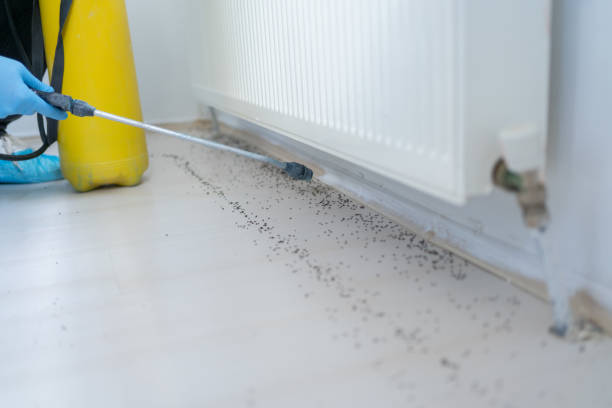 Best Rodent Control Near Me  in Burleson, TX