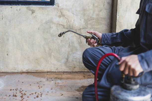 Best Emergency Pest Control  in Burleson, TX