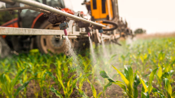 Best Commercial Pest Control Services  in Burleson, TX