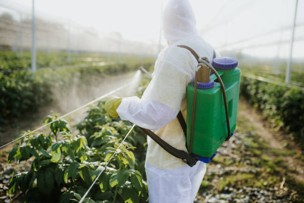 Best Wildlife Control Services  in Burleson, TX